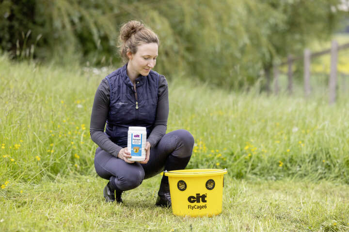 cit Fliegenfalle FlyCage inklusive Lockstoff